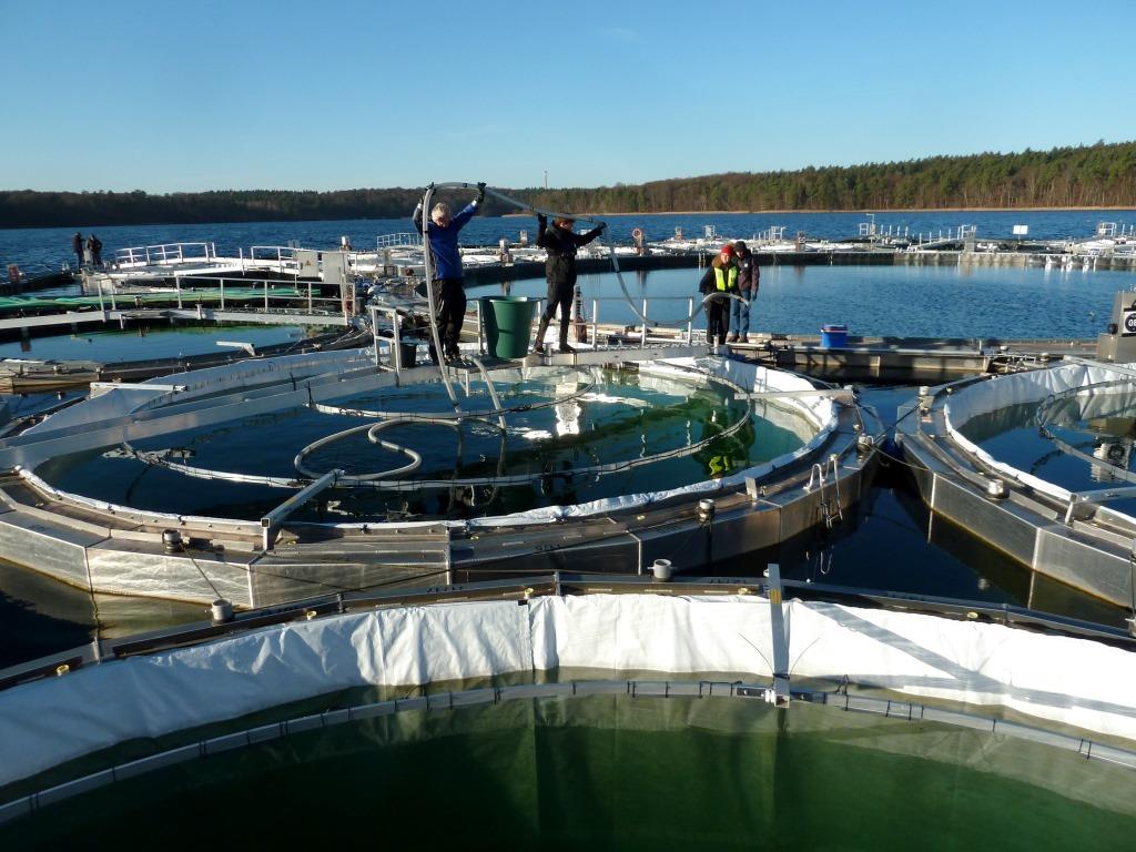 Sampling Seelabor
