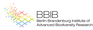 BBIB logo