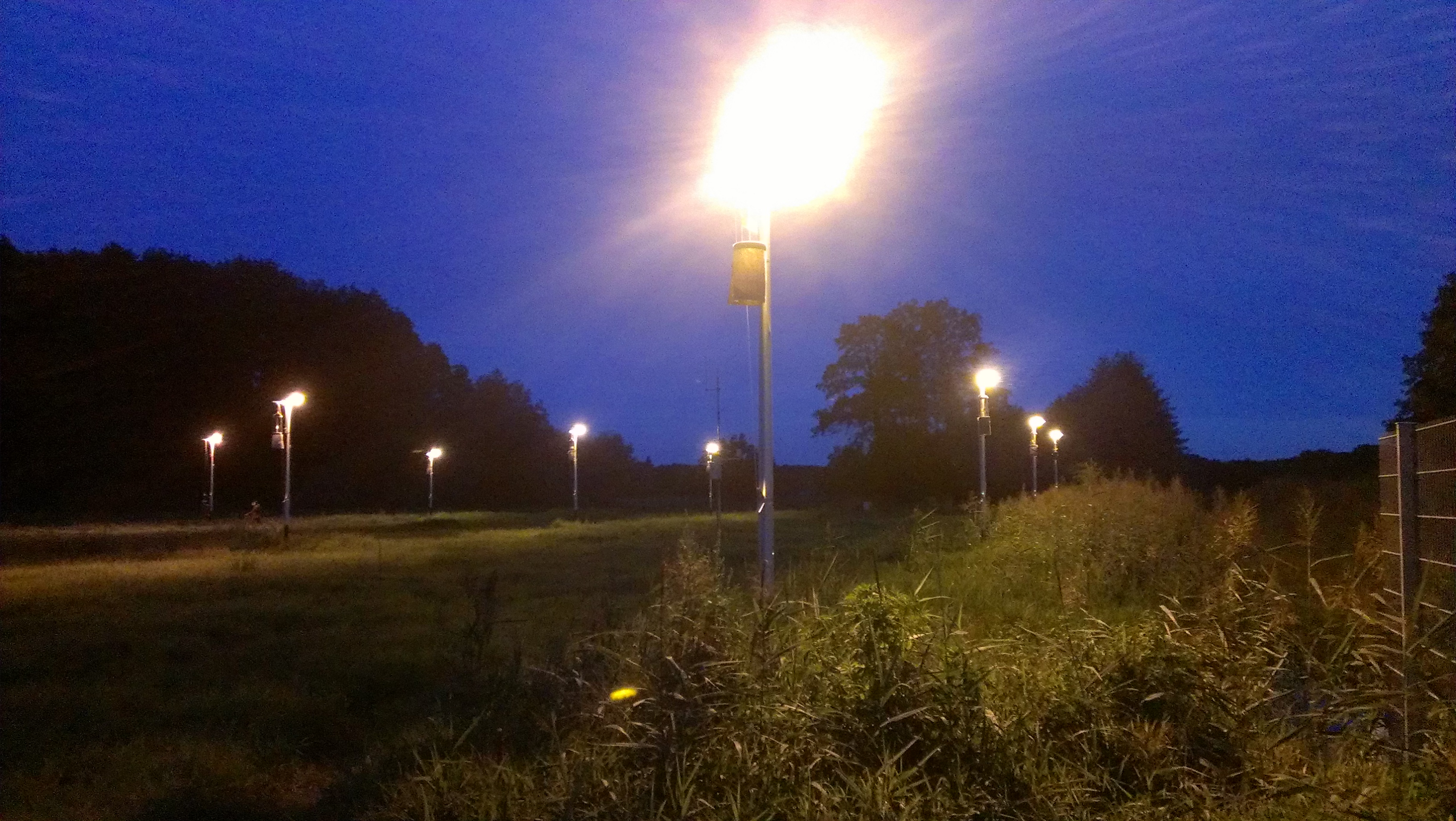 Beleuchtungsfeld im Westhavelland