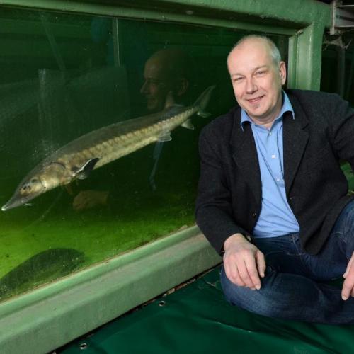 Jörn Gessner vor einem Störbecken am IGB