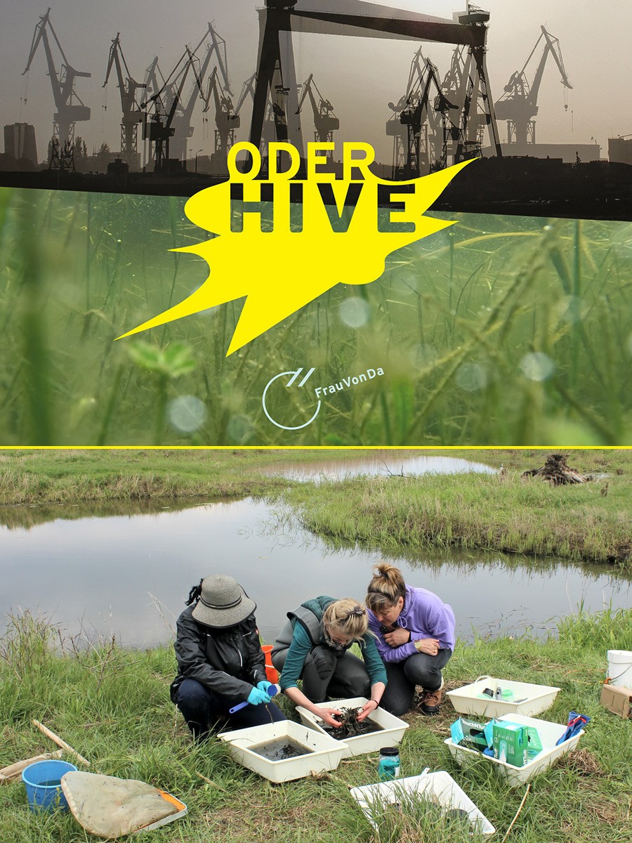 FrauVonDa mit Forschenden bei der Feldarbeit an der Oder