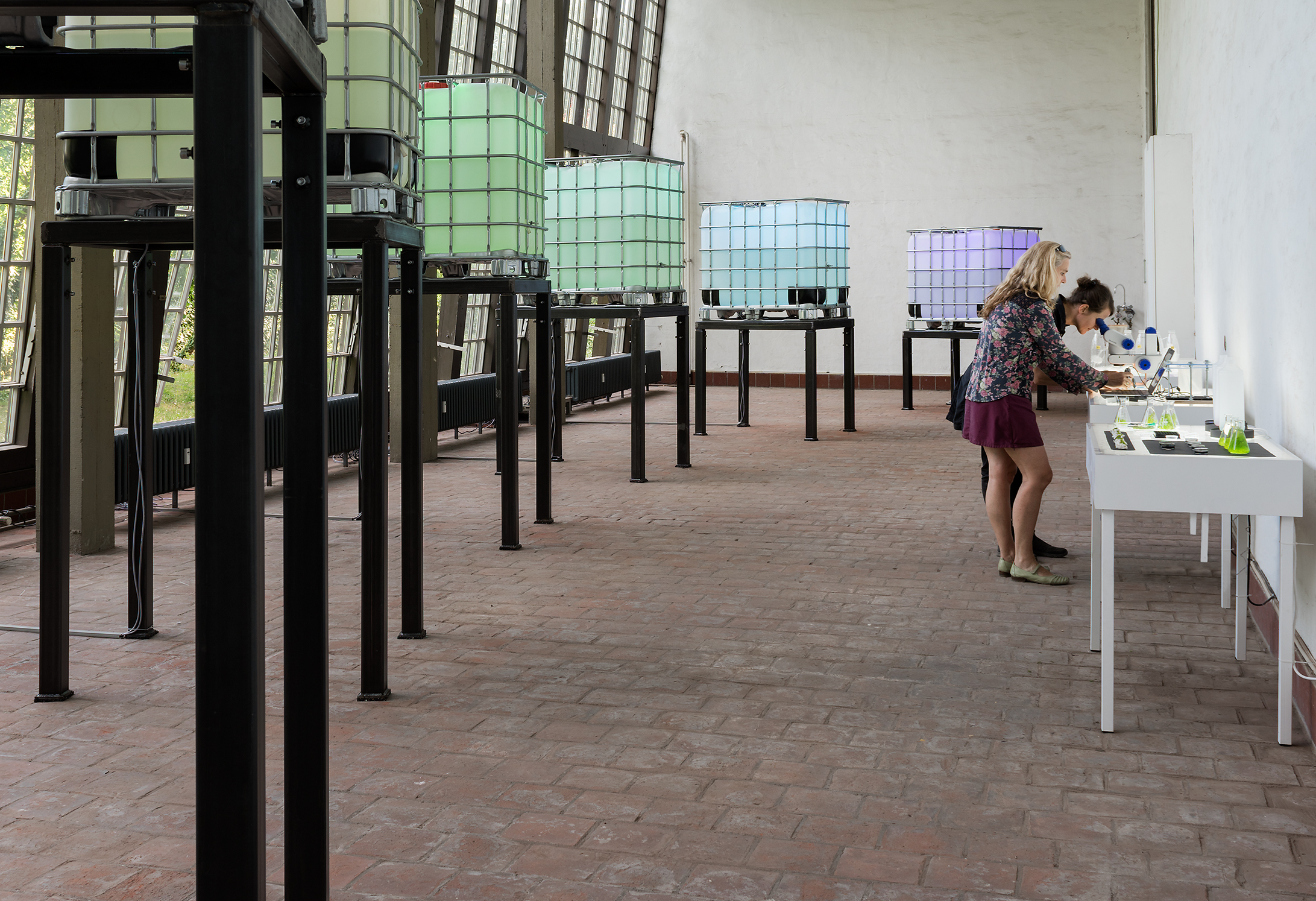 Ansicht der Installation in der Kleinen Orangerie