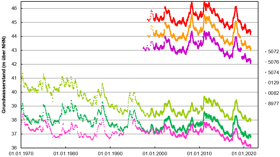 Abb. 2: Abnehmende Grundwasserstände an Messstellen des Berliner Senats. Alle Messstellen liegen auf der Barnim Hochfläche (Rottöne) oder Teltow Hochfläche (Grüntöne), die genaue Lage ist in Abb. 1 dargestellt. | Abbildung: Jörg Lewandowski/IGB nach Daten des Landes Berlin