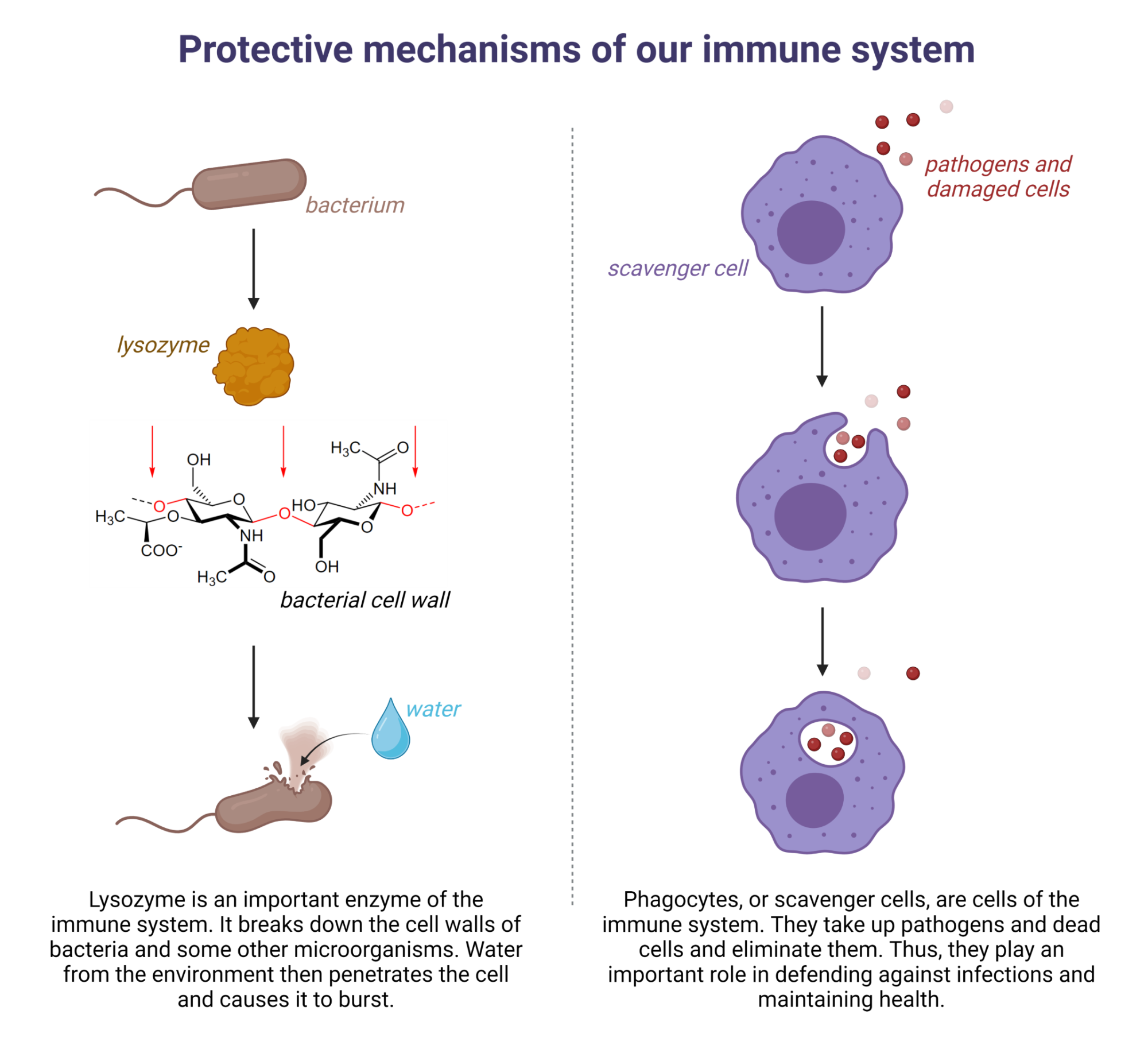 Protection mechanisms