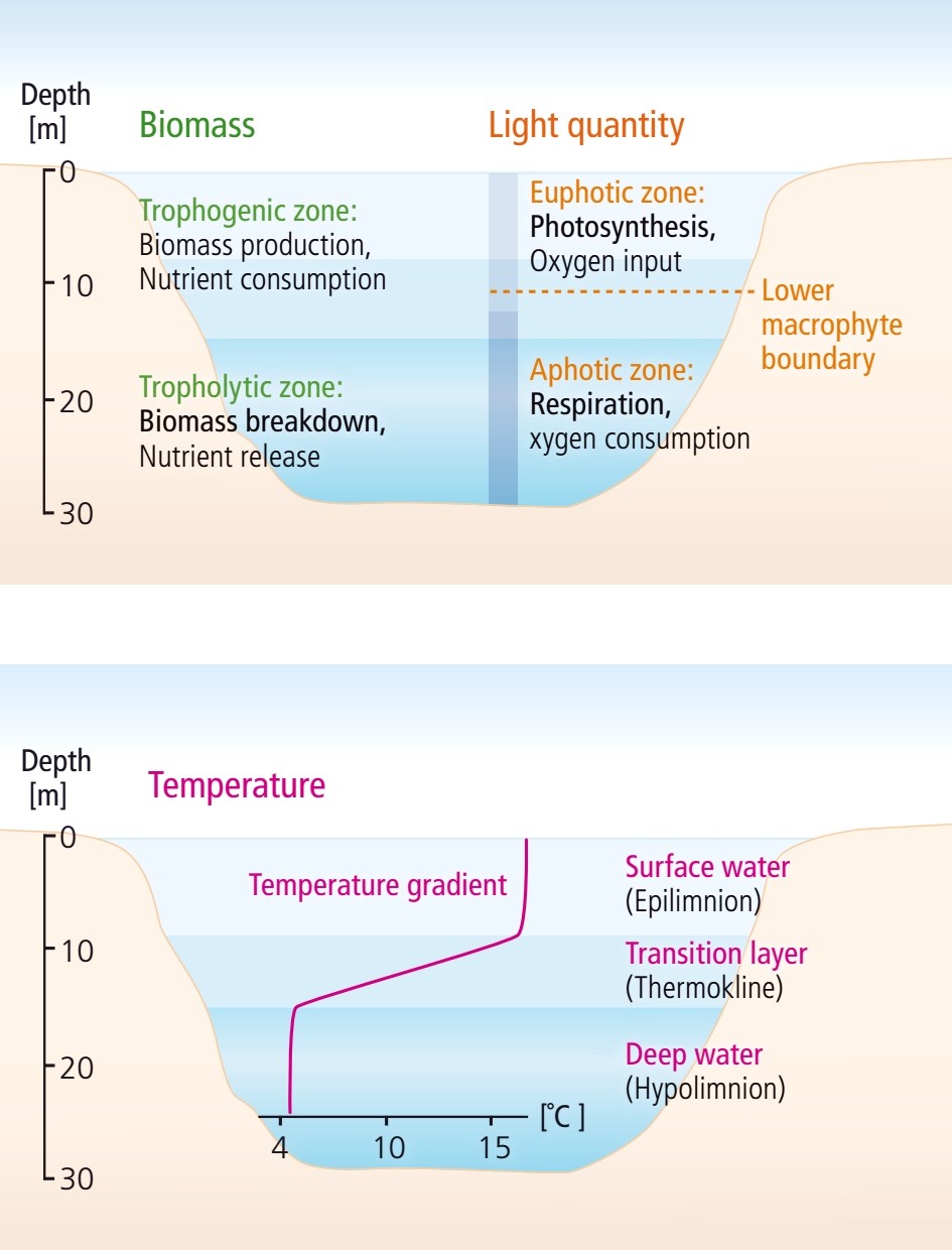 Lake stratification in summer
