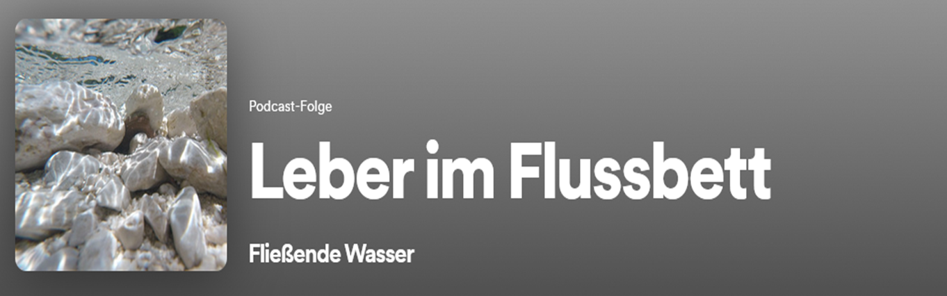 Leber im Flussbett, Christoph Reith im Podcast Fließende Wasser