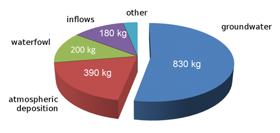 phosphorus input
