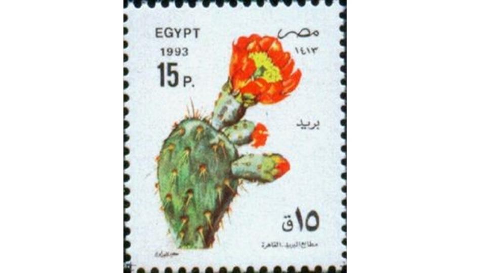 Eine Briefmarke mit Feigenkaktus aus Ägypten