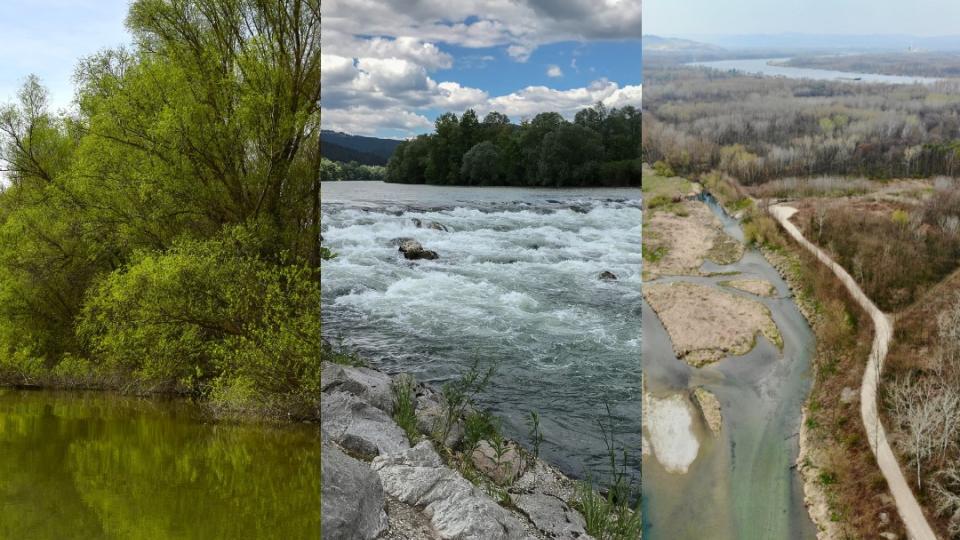 DanubeLifelines Donau Ansichten