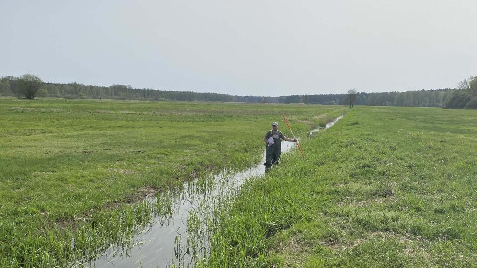 example image of wetlands