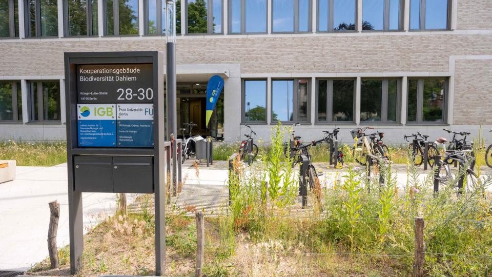 Au&szlig;enansicht des Geb&auml;udes