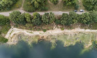 Flachwasserzonen sind besser als Fischbesatz