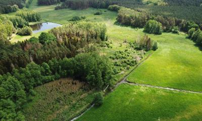 The picture shows a Brandenburg landscape with meadows, streams and forest.