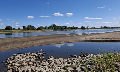Niedrigwasser: freigelegte Ufer, im Hintergrund die Elbe