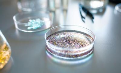 Beispielfoto für Mikroplastik in einer Laborschale.