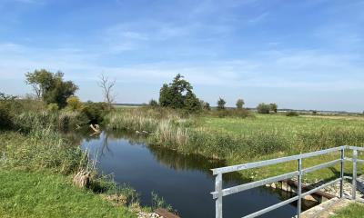Ein Überflutungswehr eines Polders im Nationalpark Unteres Odertal verhindert, dass im Sommer Wasser in die Aue gelangt, die während dieser Zeit landwirtschaftlich genutzt wird. 
