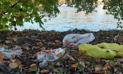 Plastic litter at the riverbanks of Berlin's River Spree 