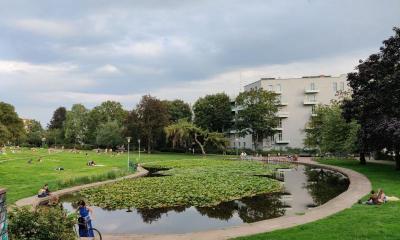 A typical city park pond