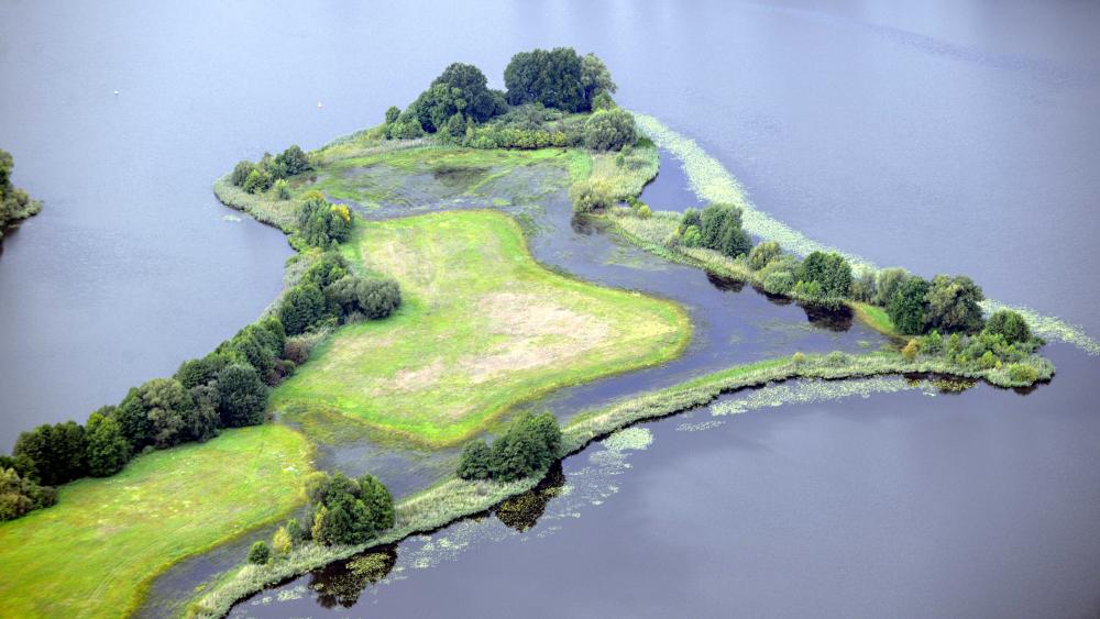 Seeuferwiesen bieten kleinräumig eine Vielfalt an Habitaten (Neuendorfer See). | Foto: Martin Pusch / IGB