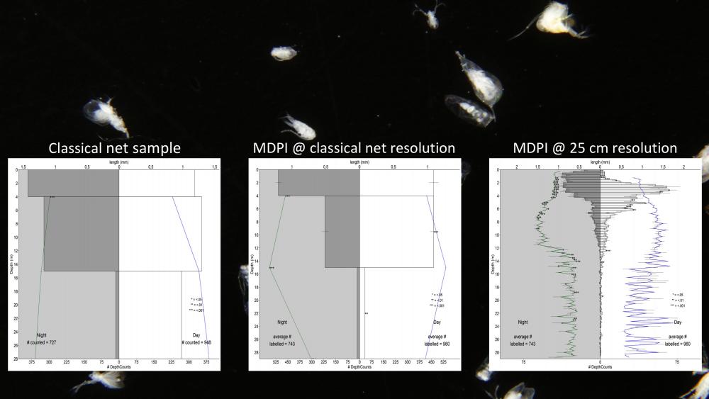 Comparison of net and video sample resolution