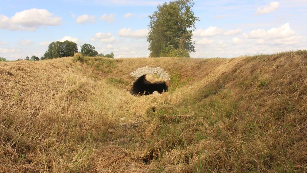 Trockenheit im Demnitzer Mühlenfließ