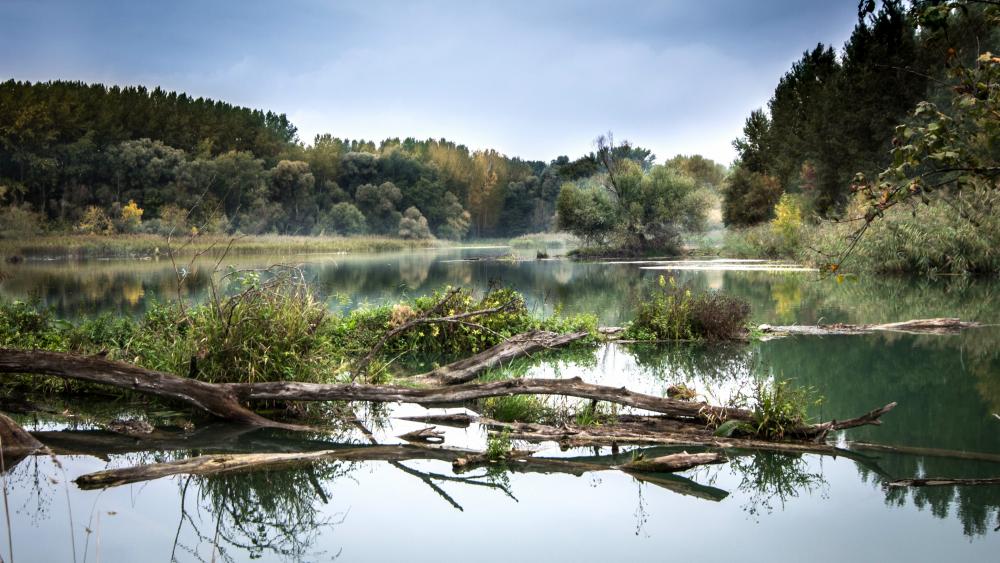 Natürliche Flusslandschaft