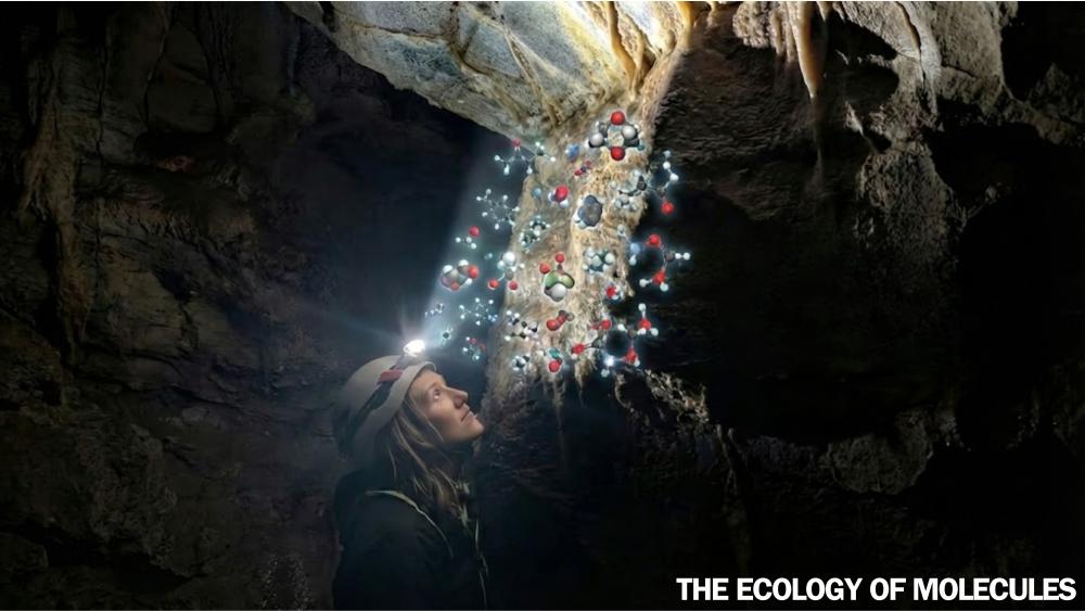 Erika Freeman in der Brujas-H&ouml;hle