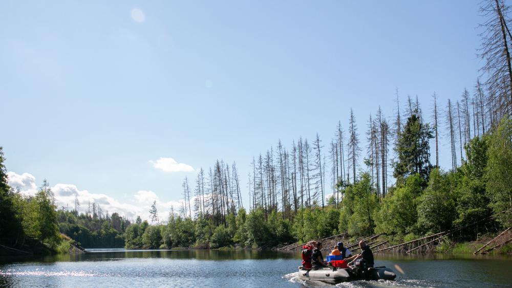 Ein Boot auf einem See
