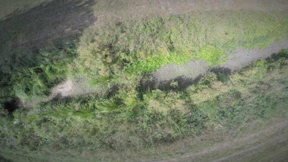 Luftaufnahme von einem ausgetrockneten Flussbett