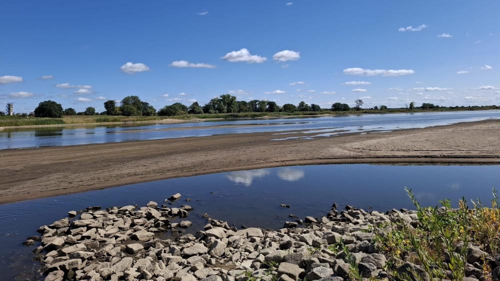 Niedrigwasser: freigelegte Ufer, im Hintergrund die Elbe