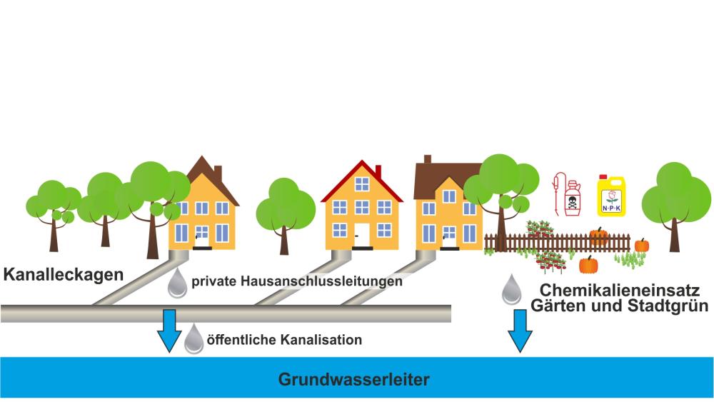 Illustration eines Wohngebiets mit Häusern, Gärten und Bäumen, die den Einfluss von Abwasser und Chemikalien auf das Grundwasser zeigt. Links fließt Wasser durch Leckagen in privaten Hausanschlussleitungen und der öffentlichen Kanalisation in den Grundwasserleiter. Rechts gelangt Wasser aus Gärten und städtischem Grün, das durch den Einsatz von Chemikalien wie Dünger und Pestiziden belastet ist, ebenfalls in den Grundwasserleiter. Die Grafik visualisiert die Wege von Verschmutzungen ins Grundwasser.