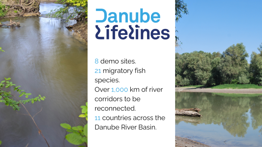 DLL Story, DLL-project, WP7 verschiedene Aufnahmen der Donau