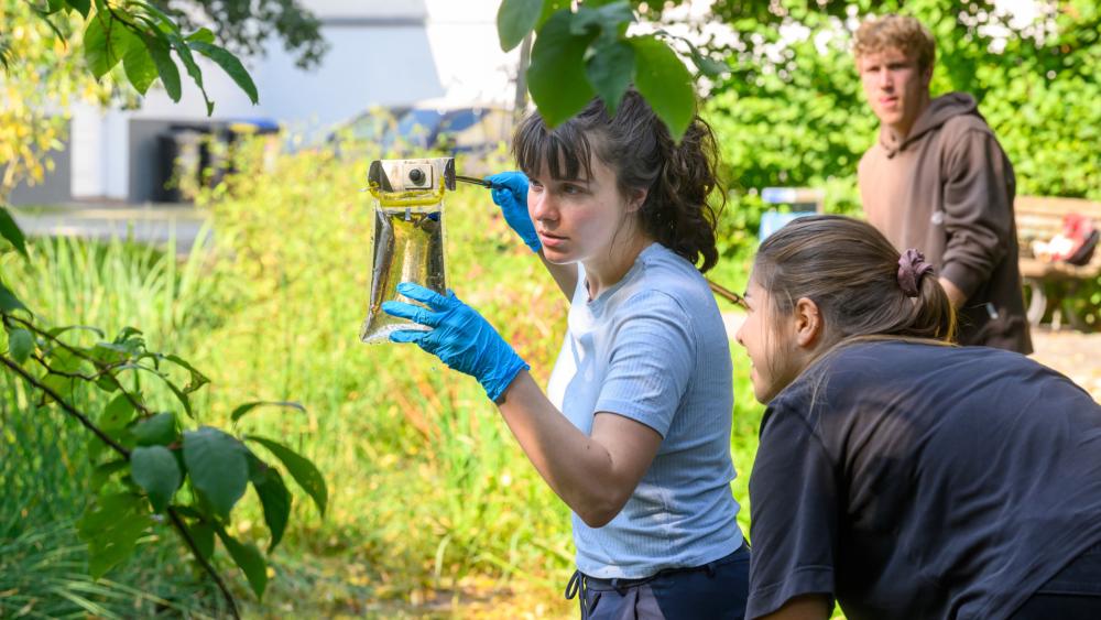 Drei Forschende des IGB entnehmen eine Wasserprobe an einem Berliner Teich
