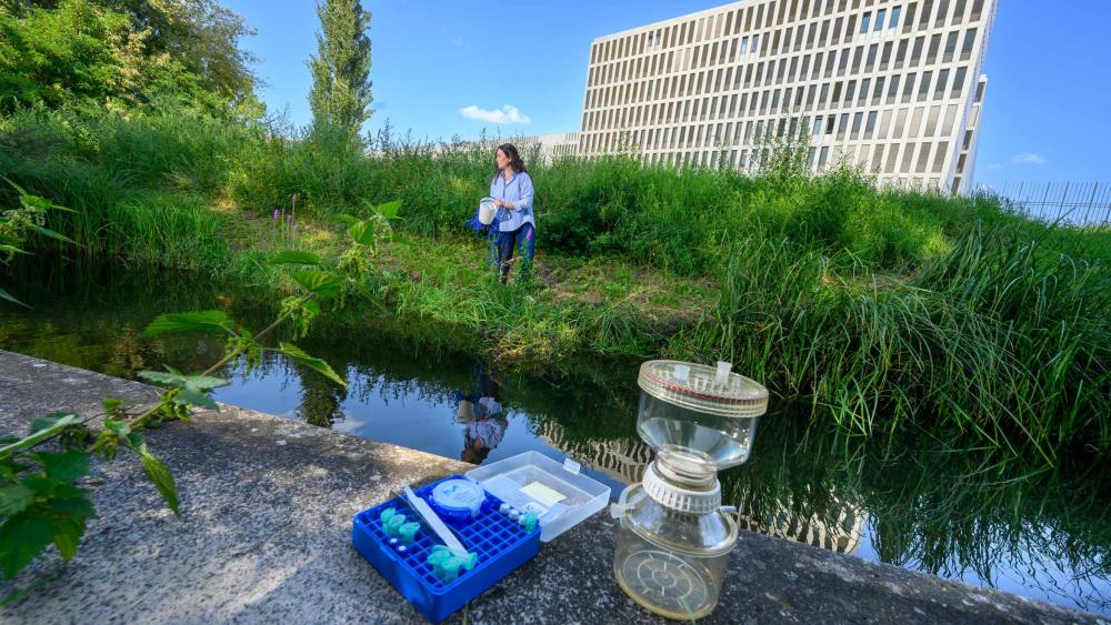 Probenahme an der Berliner Panke mit Probenahme-Material.