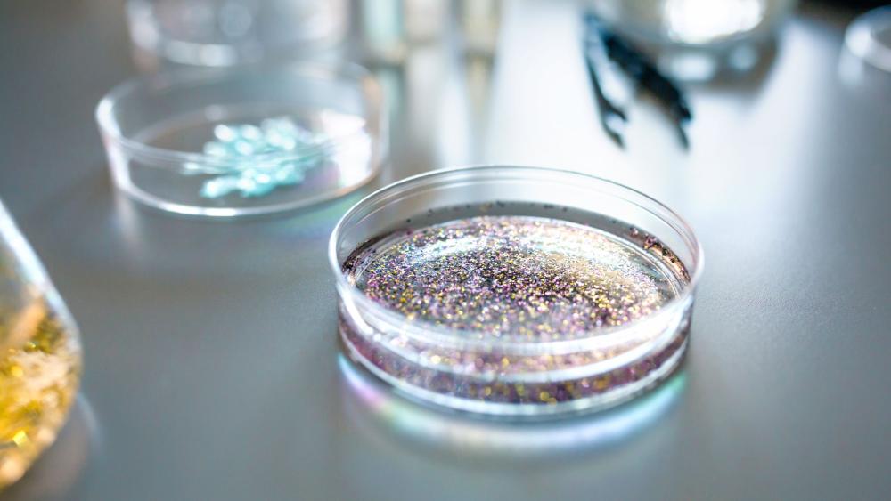 Example photo: Microplastics are difficult to detect in some biological tissues and materials