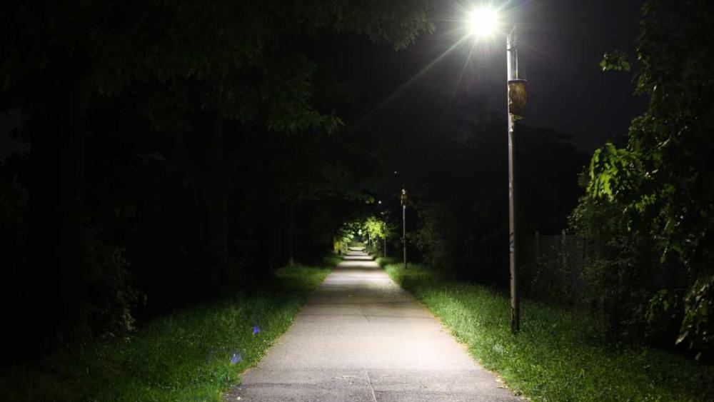 Bild von einer insektenfreundlichen Straßenlaterne