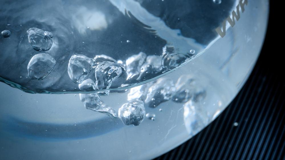 Decorative image: water sample taken by IGB researchers
