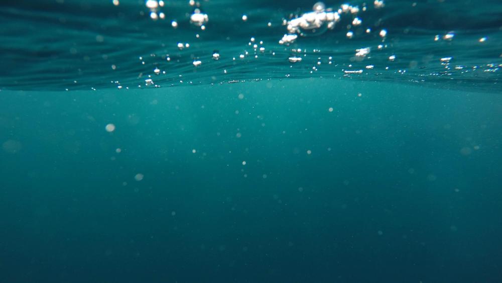 Unterwasseraufnahme im Ozean.