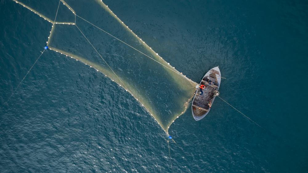 Overfishing and Eumatric fishing