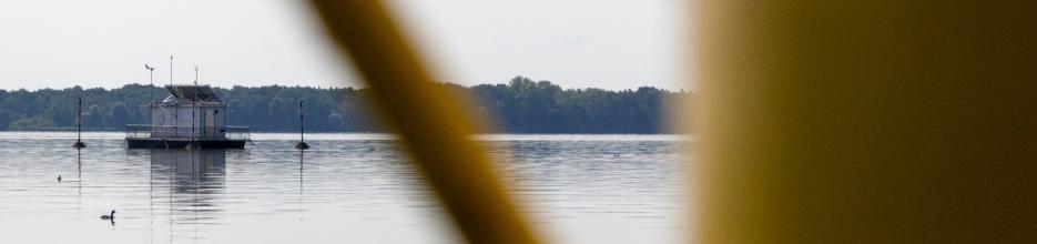 Decorative image: A view of the surface of Lake M&uuml;ggelsee; in the background, the IGB monitoring station, which collects long-term data, is floating.