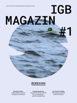 Das Cover des Magazins ziert ein Erpel