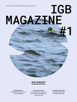 The magazine cover features a duck.