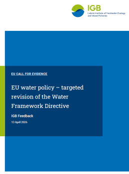 Cover des IGB-Feedbacks (ohne Foto)