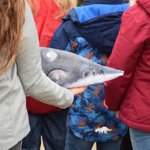 Foto von einem M&auml;dchen mit einem Fisch-Kuscheltier.
