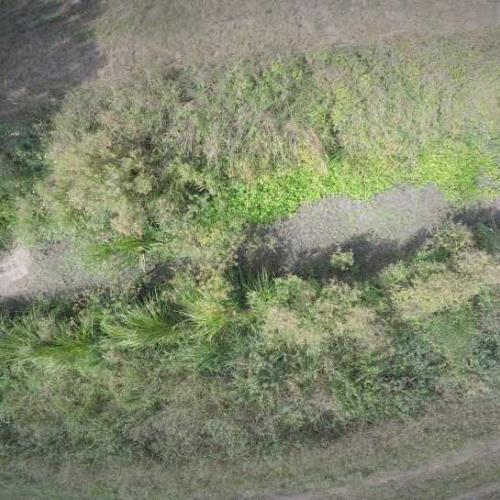 Luftaufnahme von einem ausgetrockneten Flussbett 