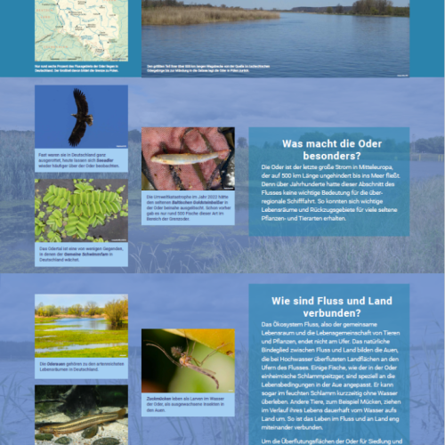 Poster 1 der Ausstellung: Die Oder