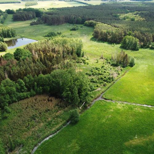 Das Bild zeigt eine Brandenburger Landschaftsaufnahme mit Wiesen, Gräben und Wald.