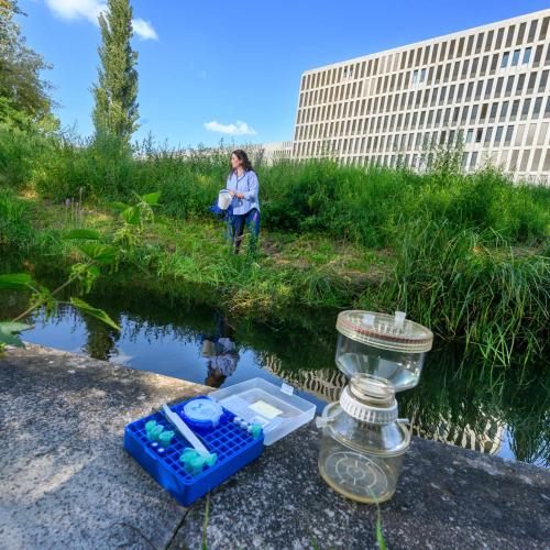 Water sampling on the Berliner Panke using sampling equipment.