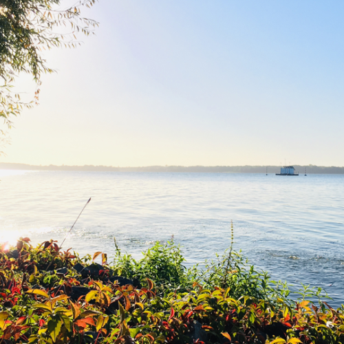 Blick auf den Müggelsee