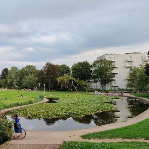Ein typischer Stadtpark mit Teich
